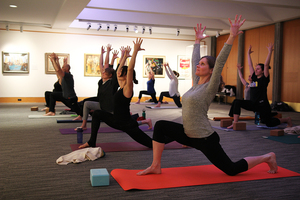 The yogis are surrounded and inspired by art as they move through their flow.